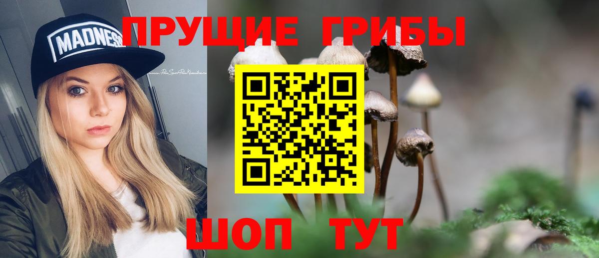 Галлюциногенные грибы Psilocybine cubensis Миллерово