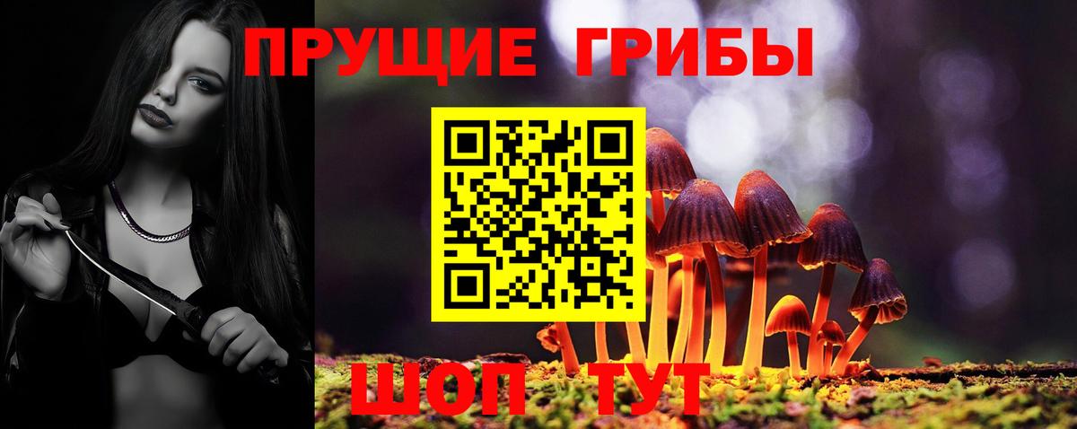 Миллерово  Галлюциногенные грибы ЛСД  Вход с VPN 
